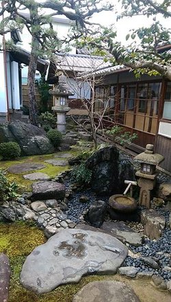 IMAG0384.jpg