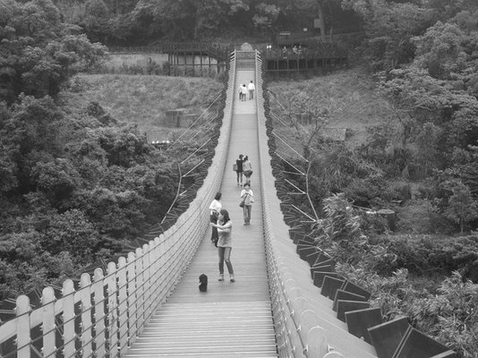 1010511內湖白石湖吊橋、忠勇山及碧山巖記錄~