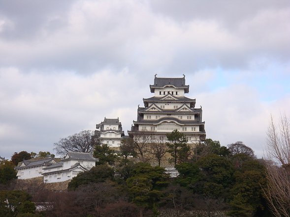 DSC02254.JPG