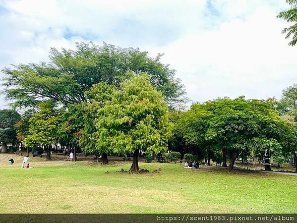 ＊【台南開箱】超酷的城市森林「巴克禮紀念公園」荒野公園，你我