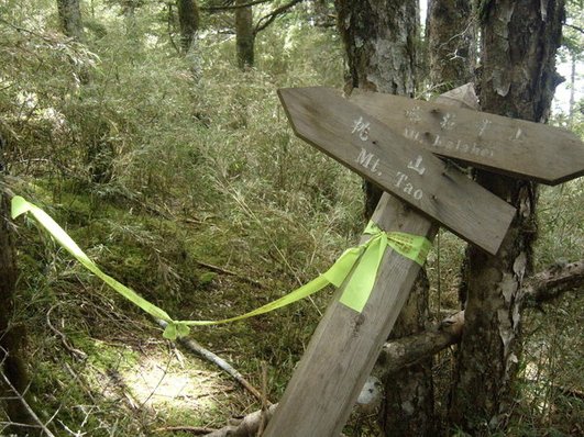 1010629~30桃山、喀拉業二秀兩天兩夜行程紀錄(第二天