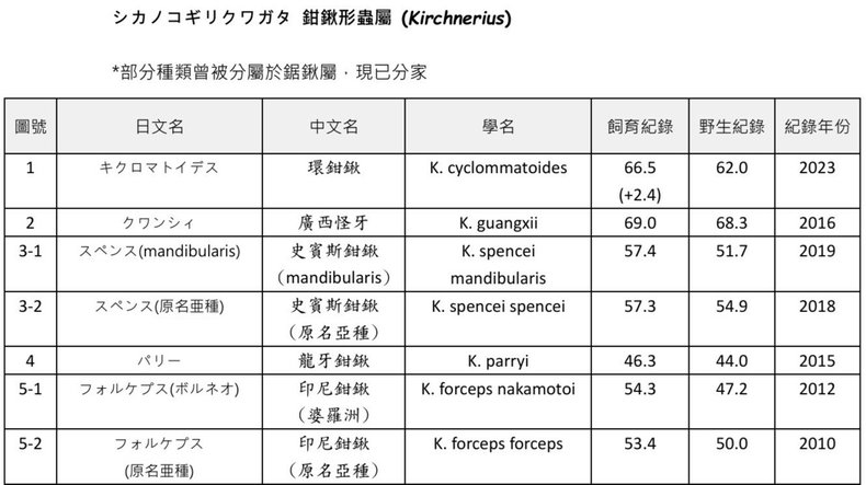 世界之最！鋸鍬最新紀錄