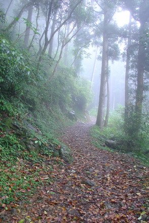 東眼山10.jpg