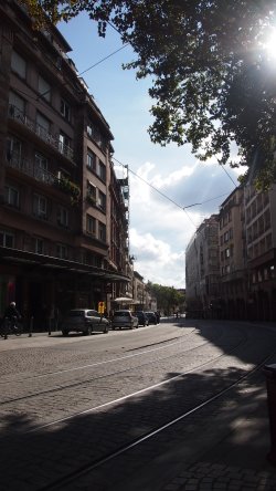 PA090920.JPG