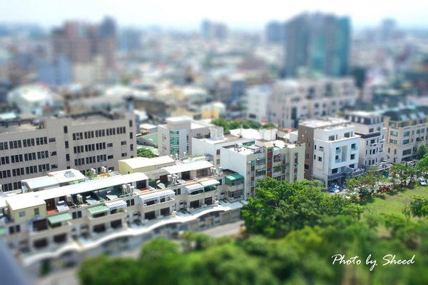 DSC00954-tiltshift副本.jpg