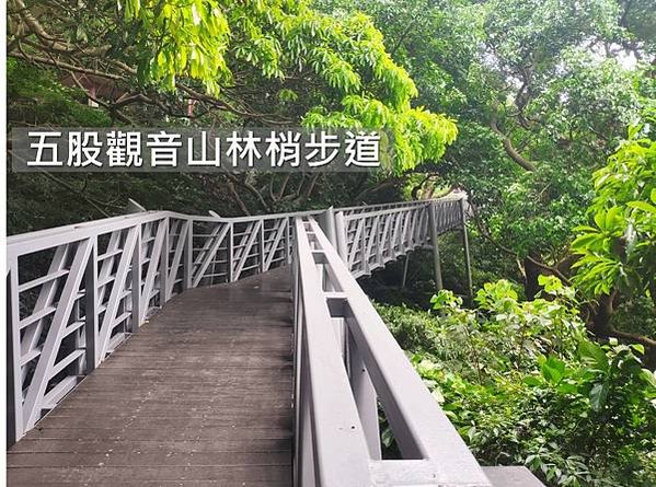 圖片3
