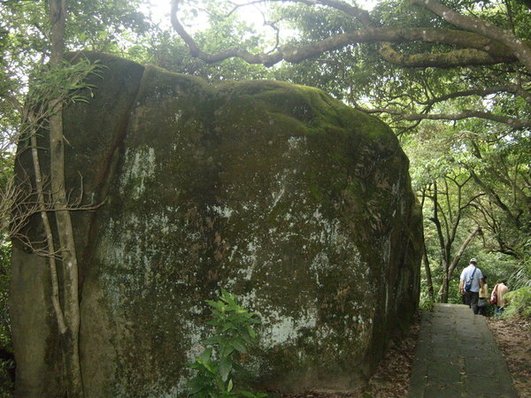 1010511內湖白石湖吊橋、忠勇山及碧山巖記錄~