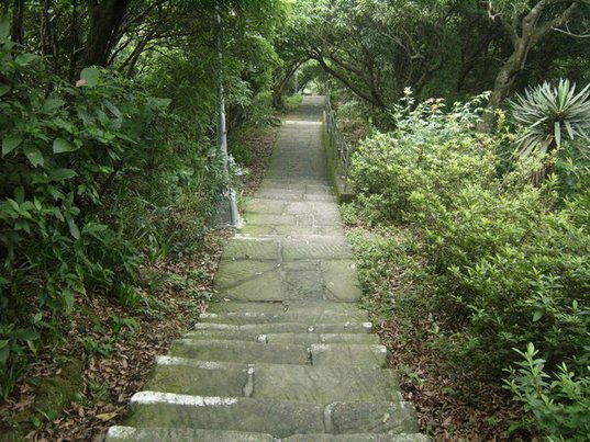 1010511內湖白石湖吊橋、忠勇山及碧山巖記錄~