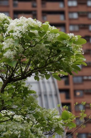 臺北好地方～大安森林公園&amp;永康隨走