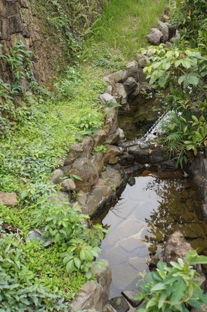 臺北好地方～大安森林公園&amp;永康隨走