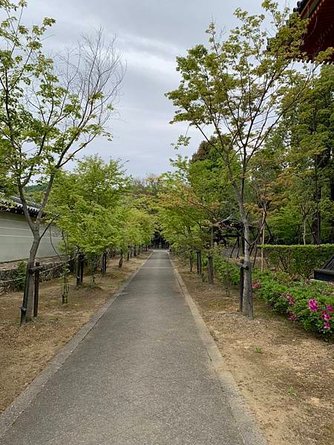 ［京都自駕遊］京都寺廟走斷腿之旅