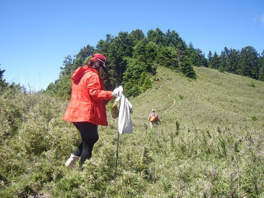 1010629~30桃山、喀拉業二秀兩天兩夜行程紀錄(第二天