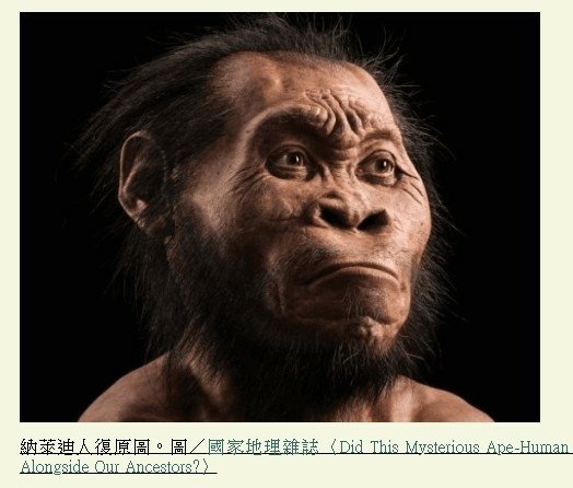 納萊迪人Homo naledi已經滅絕的人科物種「埋葬遺體」