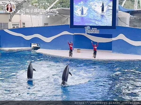 【花蓮旅遊】遠雄海洋公園｜小寶貝水族館初體驗｜一定要看的人魚