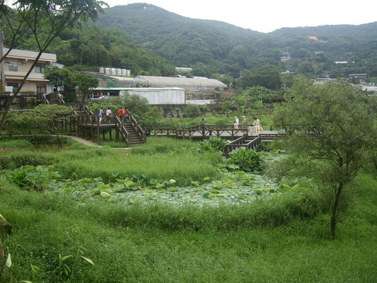 1010511內湖白石湖吊橋、忠勇山及碧山巖記錄~