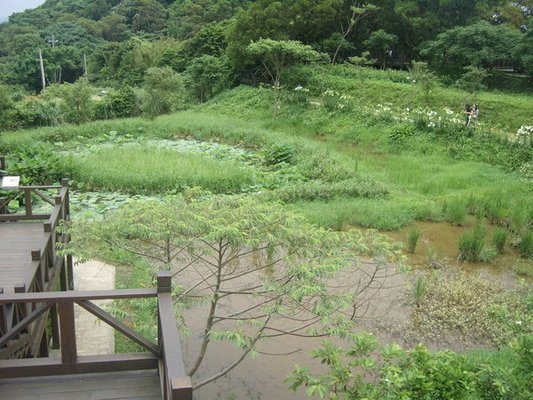 1010511內湖白石湖吊橋、忠勇山及碧山巖記錄~