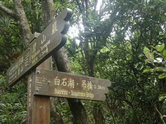 1010511內湖白石湖吊橋、忠勇山及碧山巖記錄~