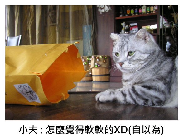 小夫紙袋1.JPG
