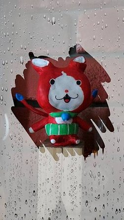 吉胖喵完成~