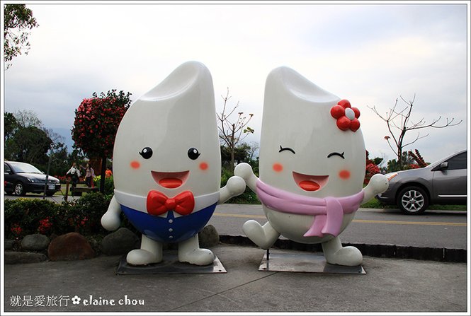 池上鄉農會四季花海09.jpg
