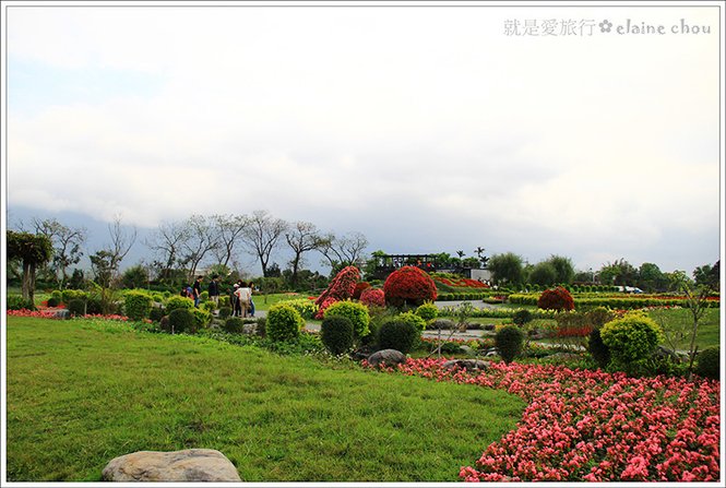 池上鄉農會四季花海16.jpg
