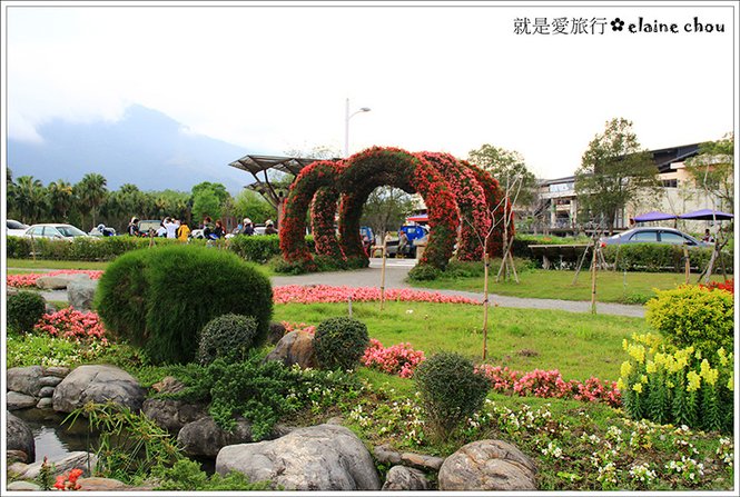 池上鄉農會四季花海28.jpg