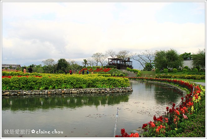 池上鄉農會四季花海30.jpg