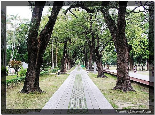 綠色隧道