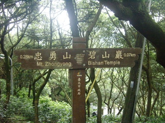 1010511內湖白石湖吊橋、忠勇山及碧山巖記錄~