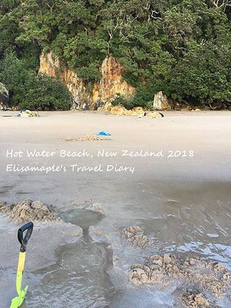 NZ20180133.JPG