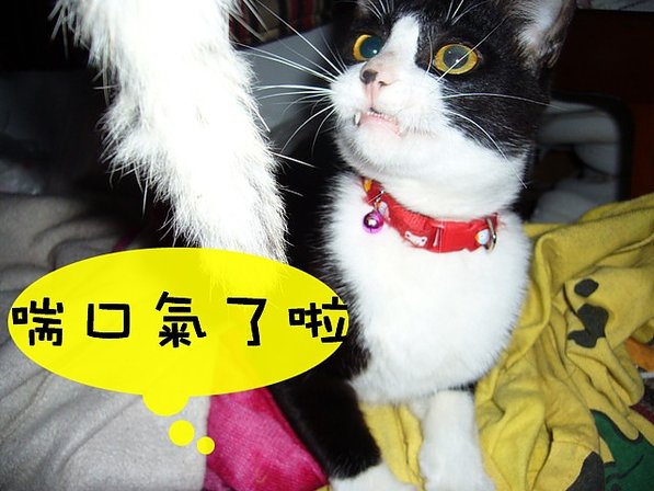 喘口氣
