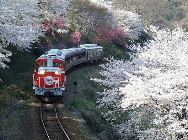 わたらせ渓谷鐵道　春（みどり市）