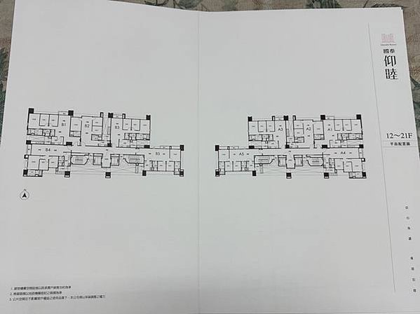 【國泰·仰睦】台南鹽行重劃區新建案預售屋大樓~薔薇媽媽看屋手