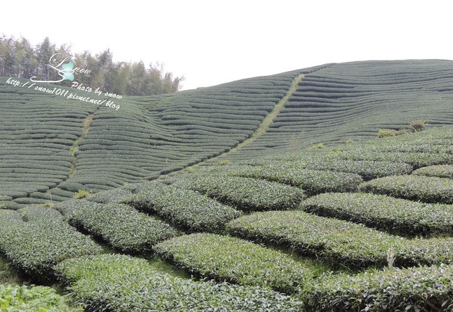 沿途風景
