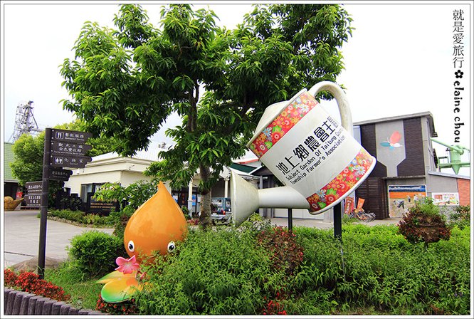 池上鄉農會四季花海10.jpg