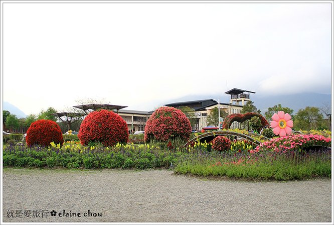 池上鄉農會四季花海23.jpg