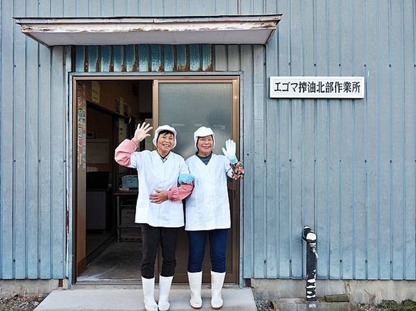 【福島縣｜田村市】田村美櫻88景，白天鐘乳洞探險，夜晚與閃爍