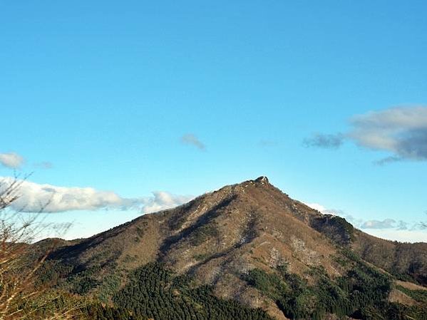 【福島縣｜田村市】田村美櫻88景，白天鐘乳洞探險，夜晚與閃爍