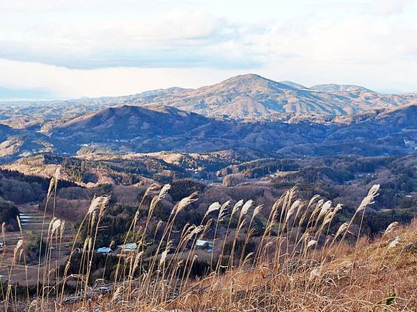 【福島縣｜田村市】田村美櫻88景，白天鐘乳洞探險，夜晚與閃爍