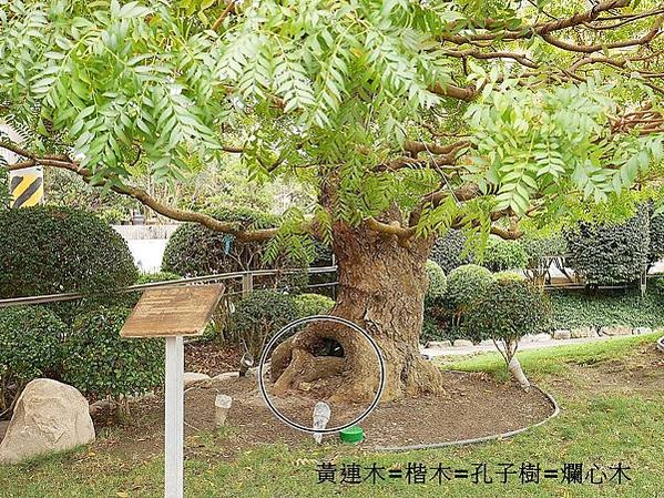 成美文化園-彰化永靖景點，號稱台版兼六園的超美園區，一年四季