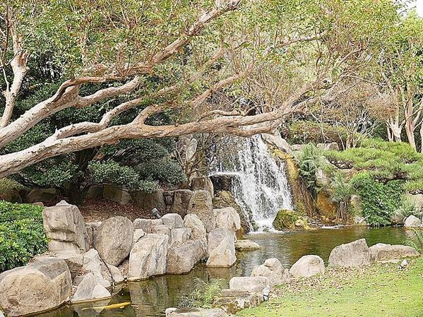 成美文化園-彰化永靖景點，號稱台版兼六園的超美園區，一年四季