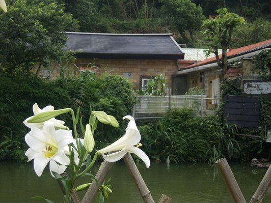 1010511內湖白石湖吊橋、忠勇山及碧山巖記錄~