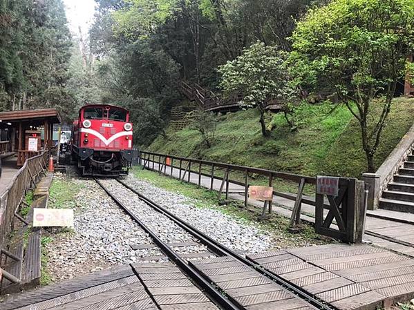 阿里山