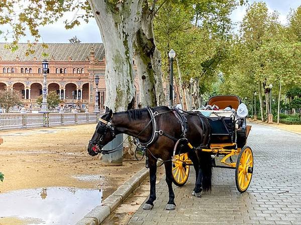 〔西班牙自由行〕Seville 塞維亞景點～最美的西班牙廣場