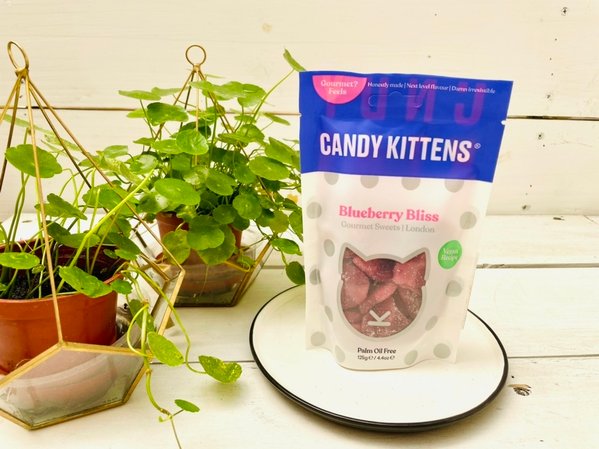 4 Candy Kittens 英國喵屋軟糖_威爾斯藍莓伯爵貓 (2).jpg