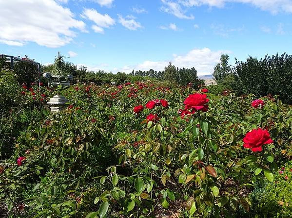 Day 9: Wanaka