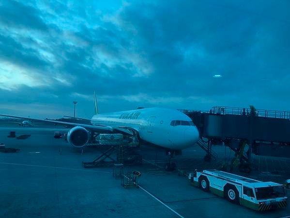 2023斯里蘭卡(Sri Lanka)入出境攻略+CMB機場