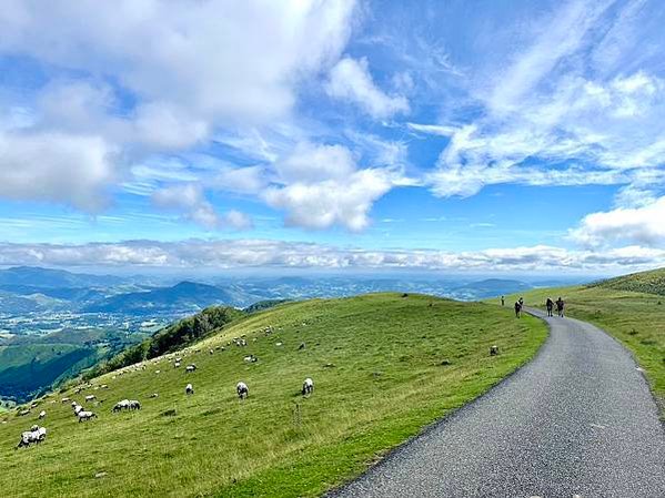 法國之路Day 1 庇里牛斯山的迷途羔羊