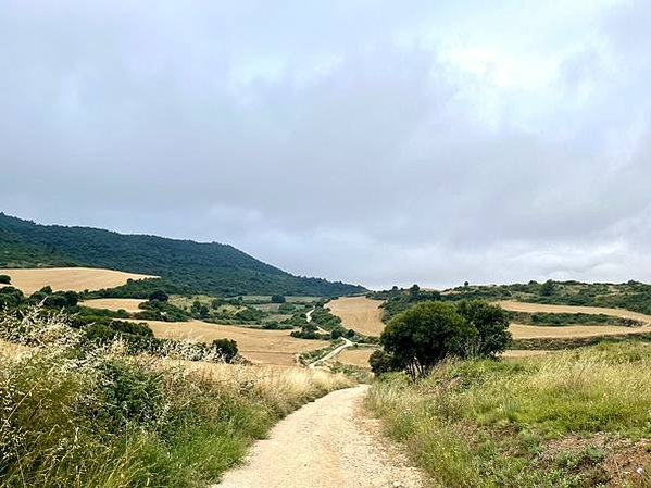 法國之路Day 6 邊喝紅酒邊走路-微醺去Los Arcos