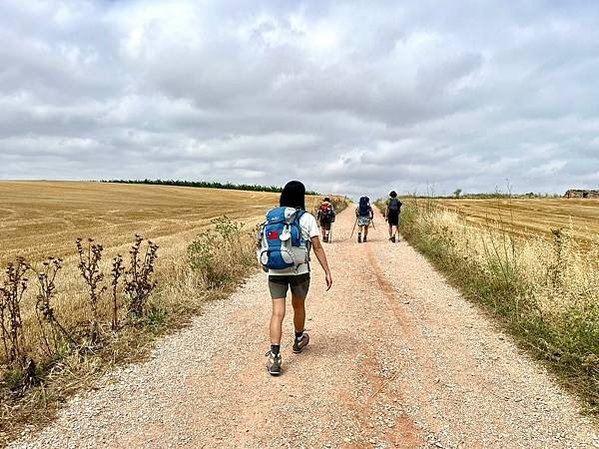 法國之路Day 6 邊喝紅酒邊走路-微醺去Los Arcos